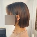 바오헤어(Bao hair) 이미지
