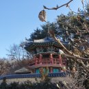 백송당 이미지
