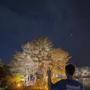 모니대부