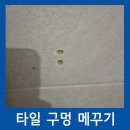 당곡목장 | 화장실타일구멍메꾸기 티안나게복원하는업체