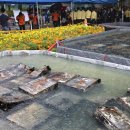 국가 전산망 마비, 재생에너지 무분별 확대에 보내는 경고음 이미지