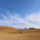 송학동-16 이미지