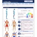 체리휘트니스 이미지