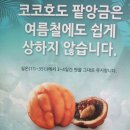 코코호도목동점