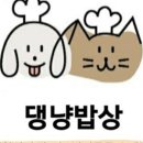 문해담펫푸드아카데미학원