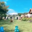 팝콘하우스펜션2 이미지