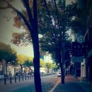 향교, 성모당 - 이미지