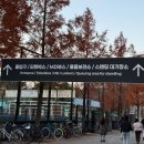 2024 시민행복 콘서트 | [고척]2024 두아리파 내한 콘서트 행복했던 후기(머천,물품보관함,스탠딩대기)