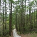 주목산장민박 이미지