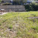 대지부동산중개인사무소 이미지