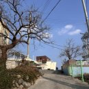 287 | 묵호 일출 뷰 맛집! 묵호 숙소 묵호287 카페 [묵호/숙소/카페]