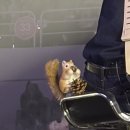 엔(N)노래연습장 | 우린 여전히 잘 가고 있어ㅣ엔플라잉(N.Flying) 엔콘4(&amp;CON4) 콘서트 후기 :: 앙콘