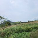 당리고개 이미지