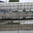 신천자연 낚시터 이미지