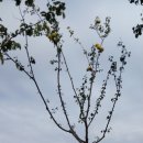 당정근린공원 화장실 이미지