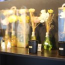 윈윈코리아 이미지