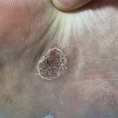 라자로성모의원 이미지