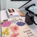 마음의 쉼, 보태니컬 아트 | 의정부 민락, 마음이 쉬어가는 보태니컬아트 수업 🌿