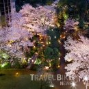 호텔도시여행 이미지