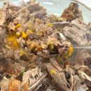 석곡오리촌 이미지