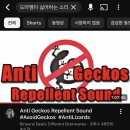 P-5K08 | 태국 방콕 여행1(+호텔에 도마뱀 나와서 같이 잔 썰)