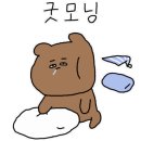 가평물골숲계곡캠핑장 이미지