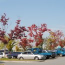 배산공원 주차장 이미지