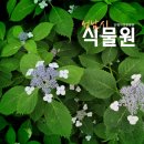 작은 쉼터, 성남시립식물원 [ 은행자연관찰원 / 서울근교 식물원 / 서울근교 물놀이장 / 어린이 물놀이장 ]