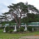 수정초 법주분교 이미지