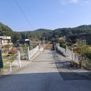 스피드메이트 미래점 | 2025.10.29. 사군자 수업 : 북부노인 복지회관