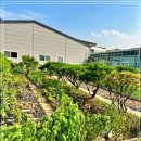 우정참숯소갈비살 이미지