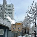 보미네옥상 | [김포 카페]보미네옥상(김포 애견동반 카페/반려견 수제간식 맛집/풍무동 카페)