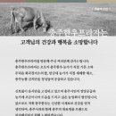 화곡정미소 이미지