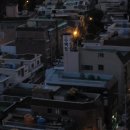 수목탕 Daum카페