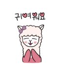 무국적식탁