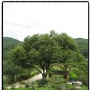 둥지까페 이미지