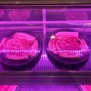 한마음정육식당 대전시청점 이미지