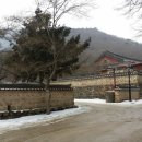 동백펜션 이미지