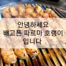 아랫장치과 이미지