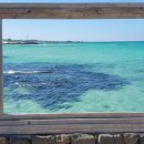 애월 in 민박 이미지