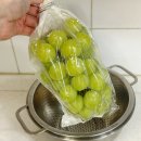 복주농장 이미지