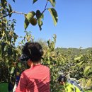 길벗식당 이미지