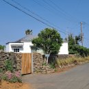 한원소담 이미지