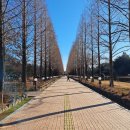 씨유진주파란점 | 진주 겨울 가볼만한곳 진주 야외 스케이트장 방문