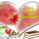 주현미 - 울면서 후회하네 이미지