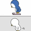 한우정식육식당 이미지