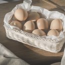 라탄공예(취미) 이미지