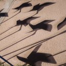 바람이 불어오는 곳 이미지