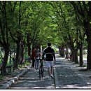 의암공원 이미지