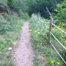 큰골 약수터 이미지